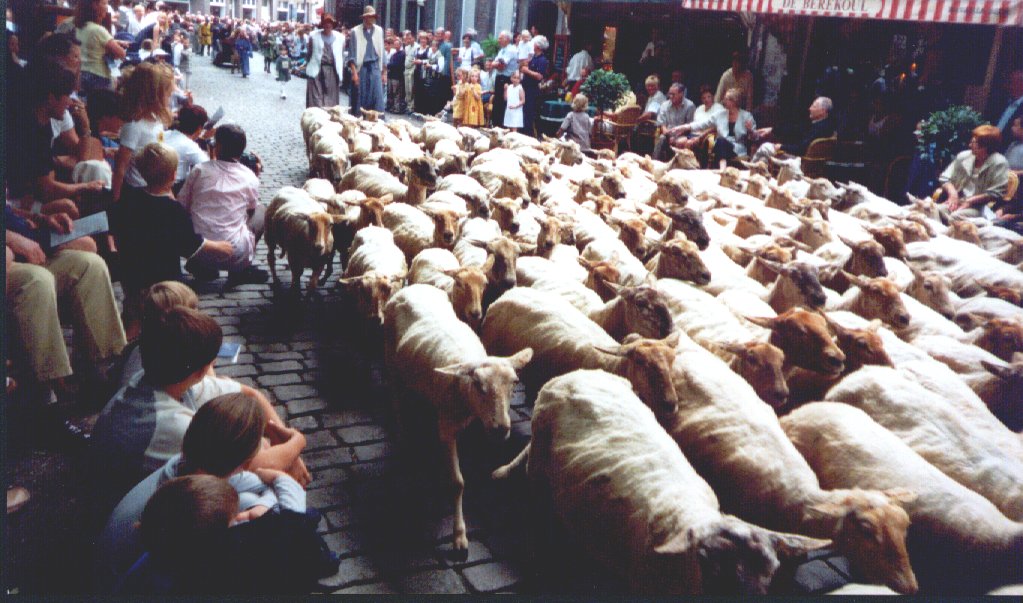 HERDER MET SCHAPEN.jpg (148018 bytes)